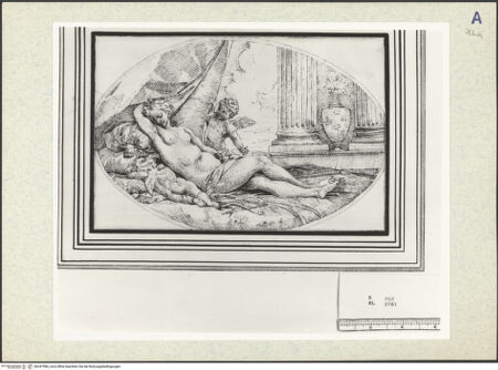 Vorderseite von bh347586_recto