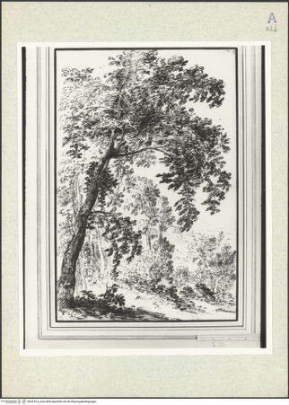 Vorderseite von bh347614_recto