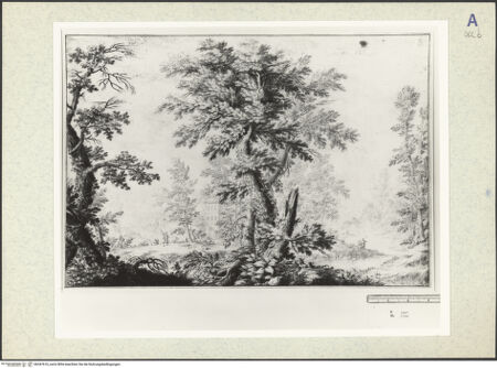 Vorderseite von bh347616_recto