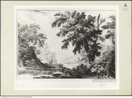 Vorderseite von bh347617_recto