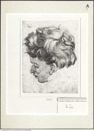 Vorderseite von bh347930_recto