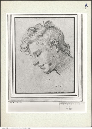 Vorderseite von bh347932_recto