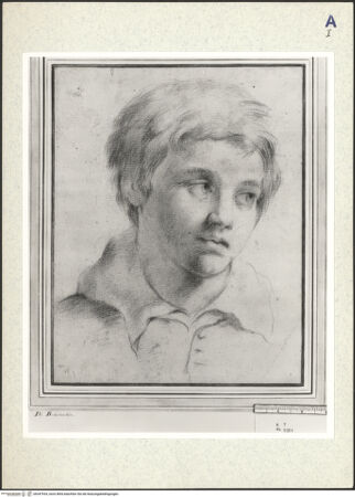 Vorderseite von bh347934_recto