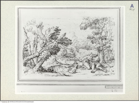 Vorderseite von bh347968_recto