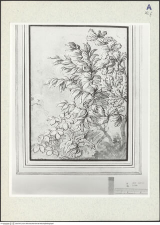 Vorderseite von bh347975_recto