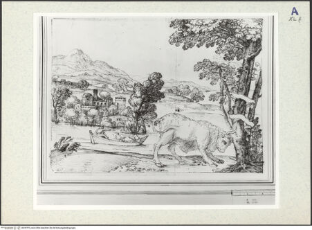 Vorderseite von bh347976_recto