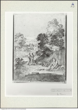 Vorderseite von bh347981_recto