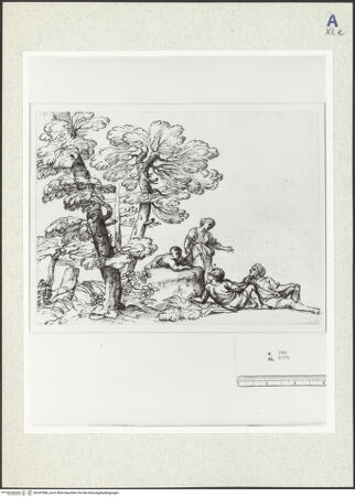 Vorderseite von bh347986_recto