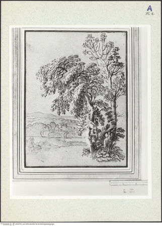 Vorderseite von bh347992_recto