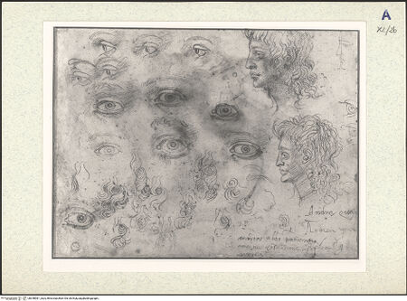 Vorderseite von bh348061_recto