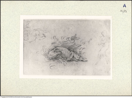 Vorderseite von bh348063_recto