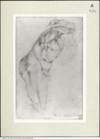 Vorderseite von bh348070_recto