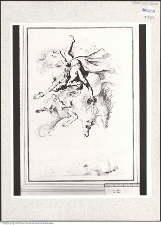 Vorderseite von bh348338_recto