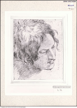 Vorderseite von bh348340_recto