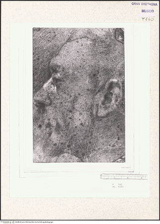 Vorderseite von bh348342_recto