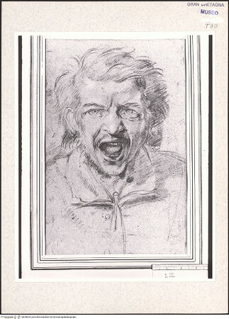 Vorderseite von bh348343_recto