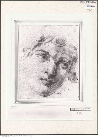 Vorderseite von bh348344_recto