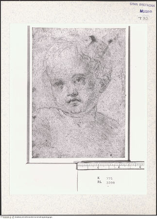 Vorderseite von bh348345_recto