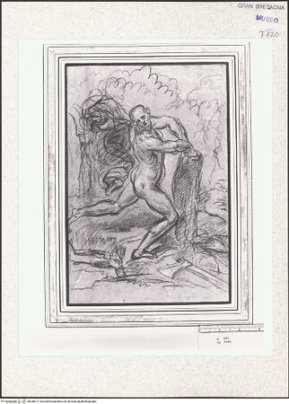 Vorderseite von bh348377_recto