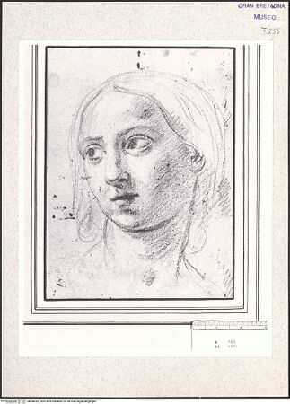 Vorderseite von bh348382_recto