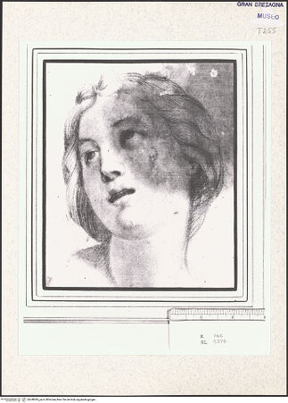 Vorderseite von bh348395_recto