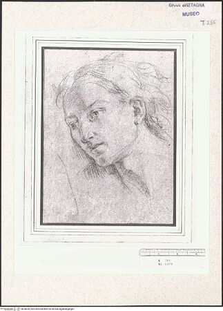 Vorderseite von bh348396_recto