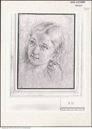 Vorderseite von bh348397_recto