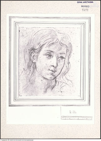 Vorderseite von bh348399_recto