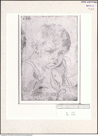 Vorderseite von bh348403_recto