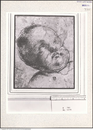 Vorderseite von bh348406_recto