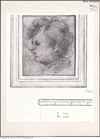 Vorderseite von bh348407_recto