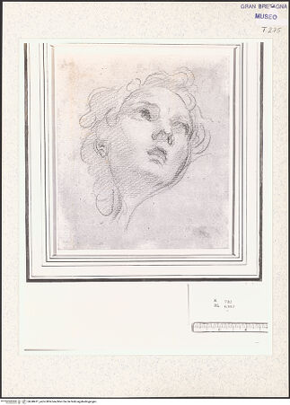 Vorderseite von bh348411_recto