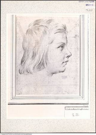 Vorderseite von bh348412_recto