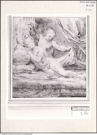 Vorderseite von bh348455_recto