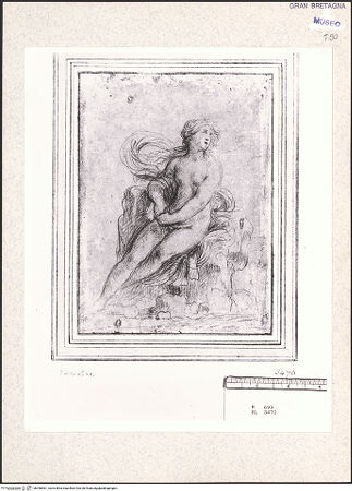 Vorderseite von bh348461_recto