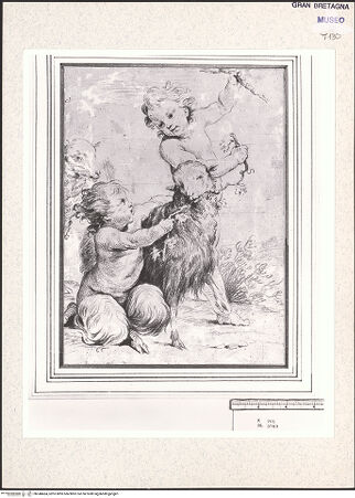 Vorderseite von bh348464_recto