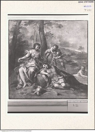 Vorderseite von bh348472_recto