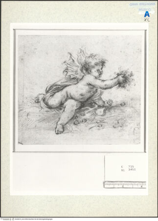 Vorderseite von Villani [https://www.deutsche-digitale-bibliothek.de/content/lizenzen/rv-ez/] Putto mit Fledermausflügeln - , bh348474_recto. Foto.