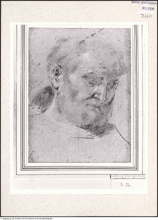 Vorderseite von bh348492_recto