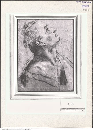 Vorderseite von bh348494_recto