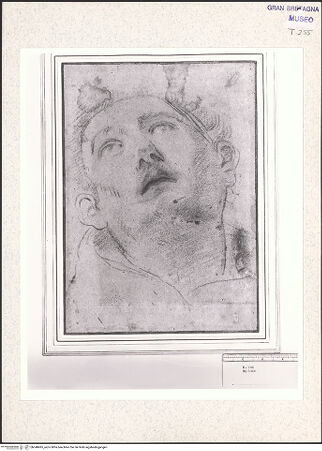 Vorderseite von bh348495_recto