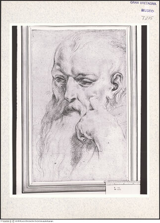 Vorderseite von bh348496_recto