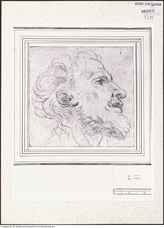 Vorderseite von bh348499_recto