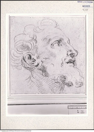 Vorderseite von bh348500_recto