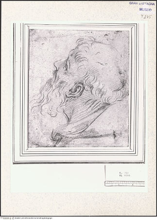 Vorderseite von bh348501_recto