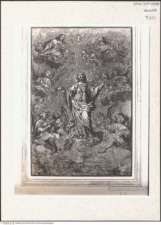 Vorderseite von bh348505_recto