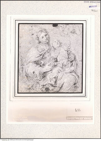 Vorderseite von bh348524_recto