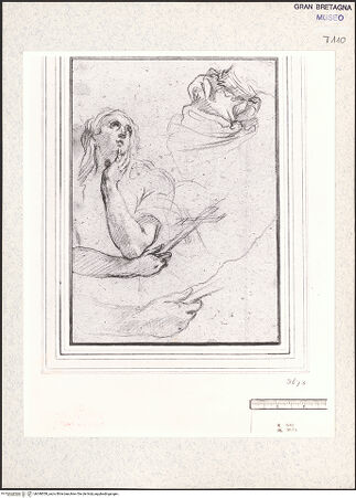 Vorderseite von bh348558_recto