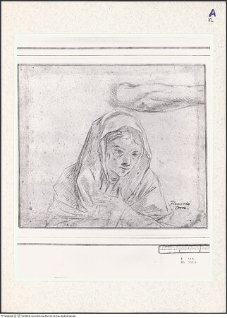 Vorderseite von bh348820_recto