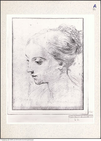 Vorderseite von bh348821_recto